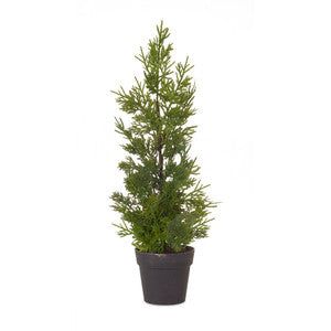 Potted Pine Tree Decor - 18 Inch Artificial Pine