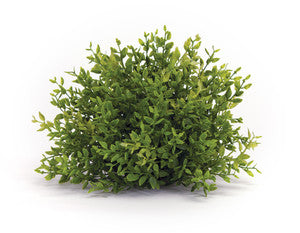 7" Faux Half Orb Plant with Mini Leaf