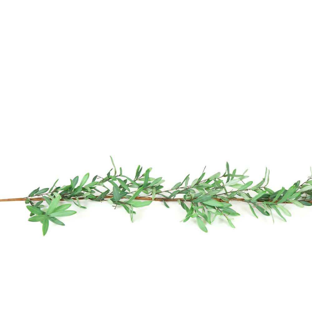 5 Olive Garland by Dwella Decor