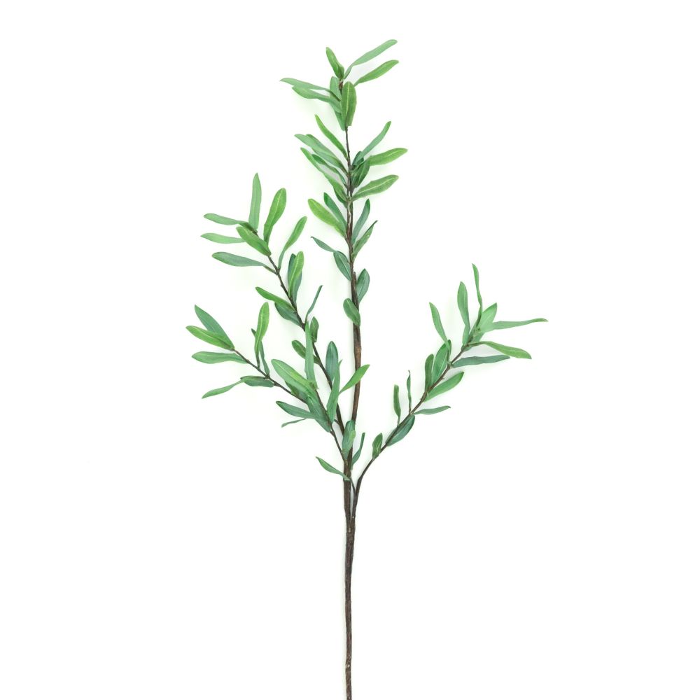 39" Ollie Olive Branch Decor