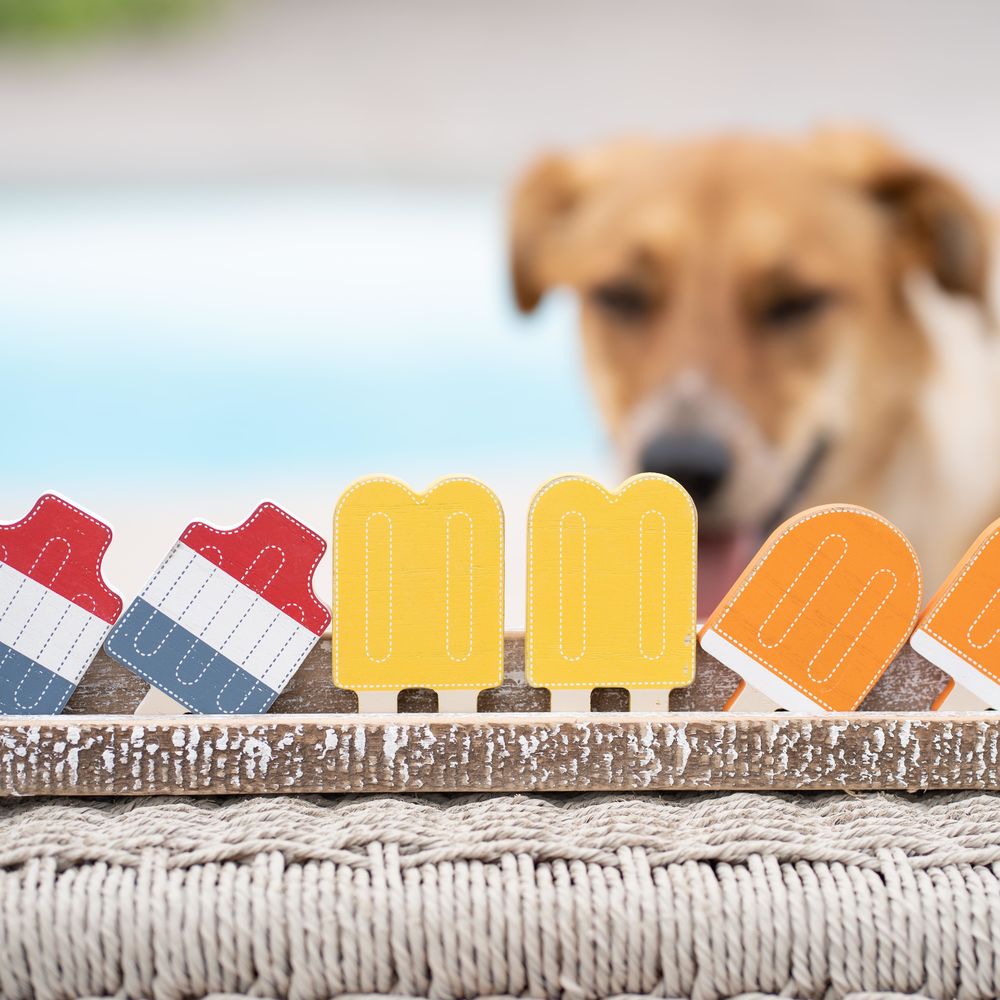Wooden Popsicle Shapes - Set of 6 Multicolor