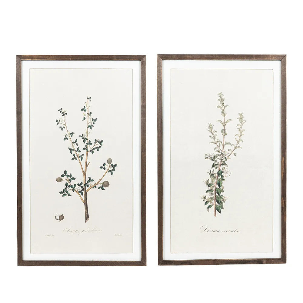 Reversible Wood Frame Sign - Gileadensis Collection