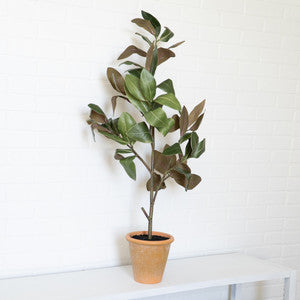 Faux Magnolia Sapling in Terra Cotta Pot