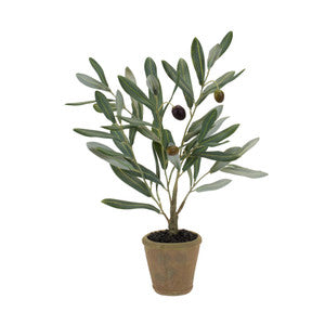 13.5" Faux Olive Plant in Green and Brown Pot