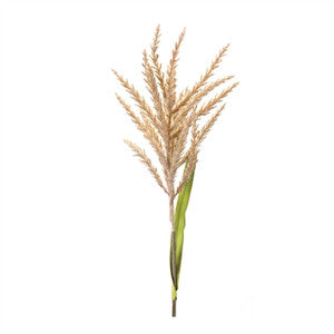 Astilbe Faux Stem - 34" Natural Green Botanical