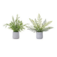 Potted Faux Ferns - Set of 2