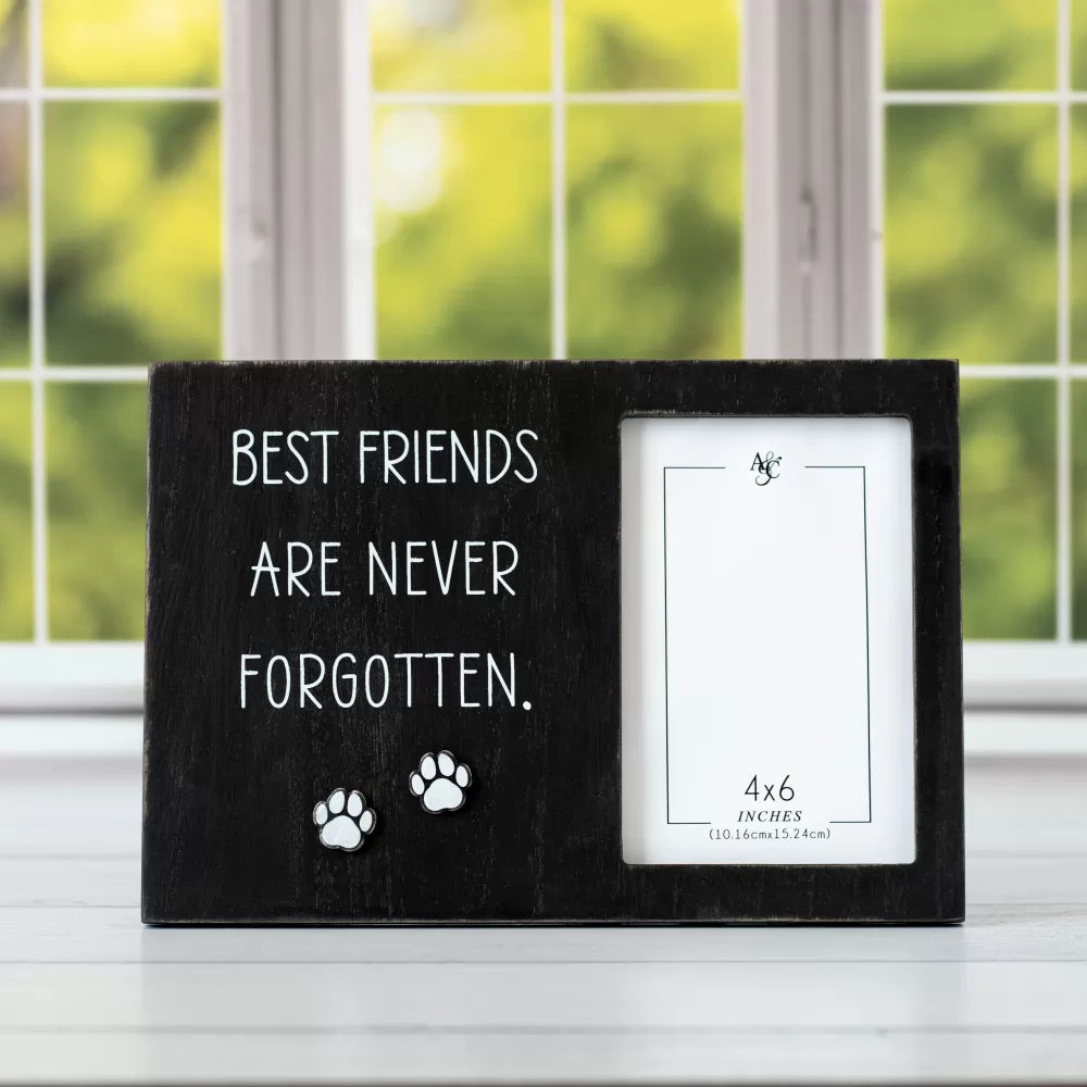 Pet Decor