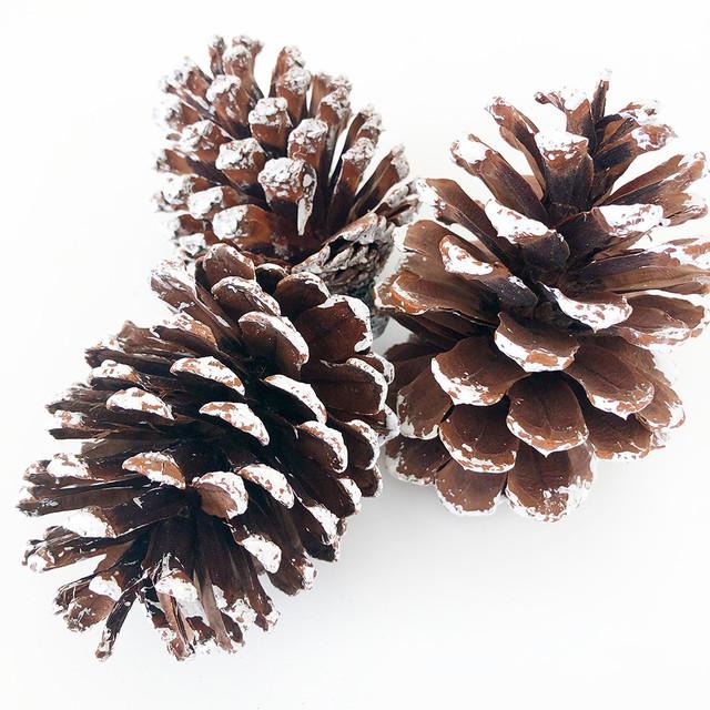 Frosted Pine Cones-Tray Decor