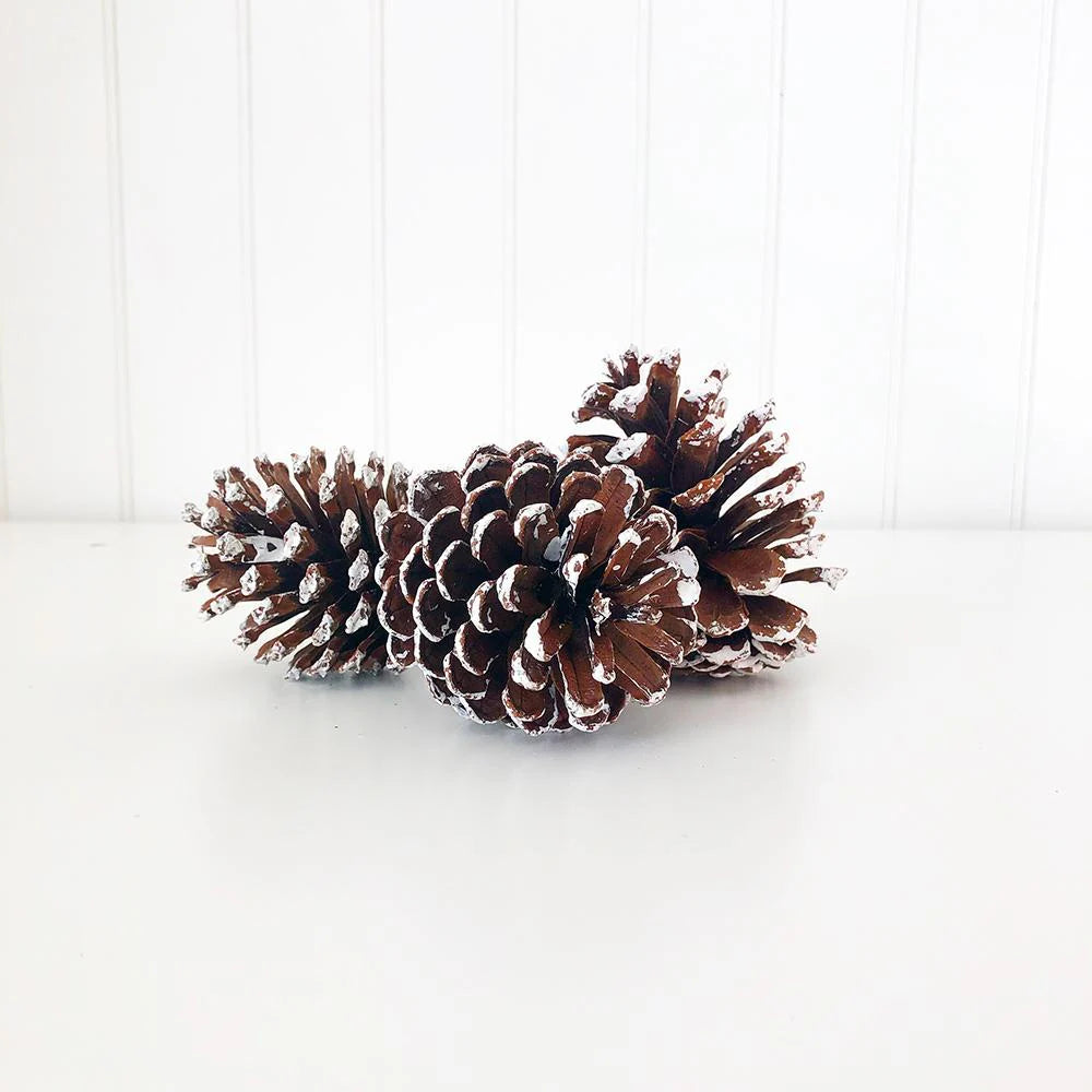 Frosted Pine Cones-Tray Decor