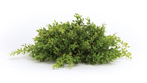 14" Faux Half Orb Plant with Mini Leaves