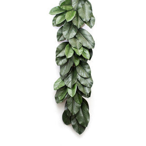 Magnolia Leaf Garland