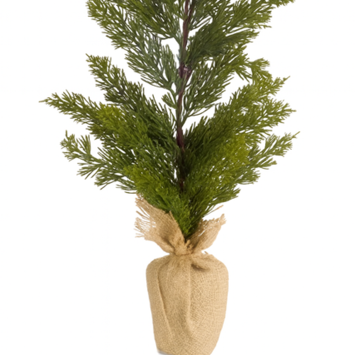 23" Mini Pine Tree with Burlap Base