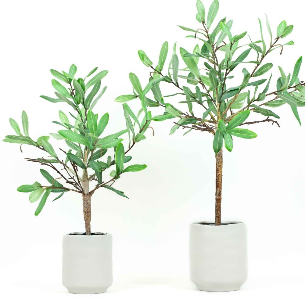18" Ollie Olive Artificial Greenery in Pottery Vessel - Green/Neutral