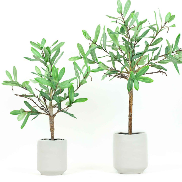 18" Ollie Olive Artificial Greenery in Pottery Vessel - Green/Neutral