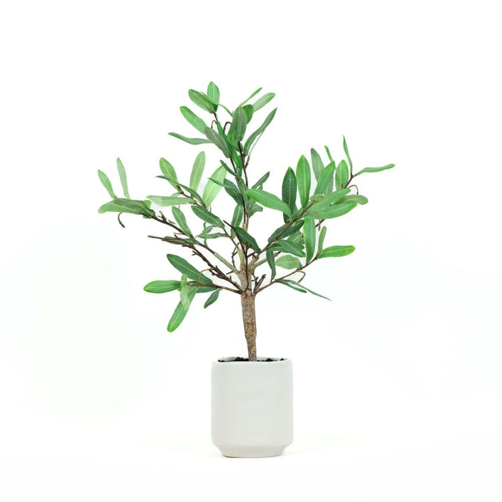 18" Ollie Olive Artificial Greenery in Pottery Vessel - Green/Neutral