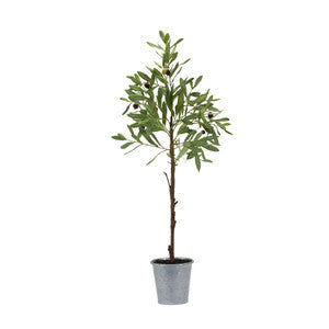 31.5" Faux Olive Tree in Pot