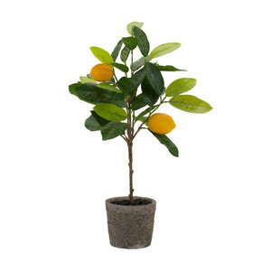 19.5" Artificial Lemon Tree in Pot